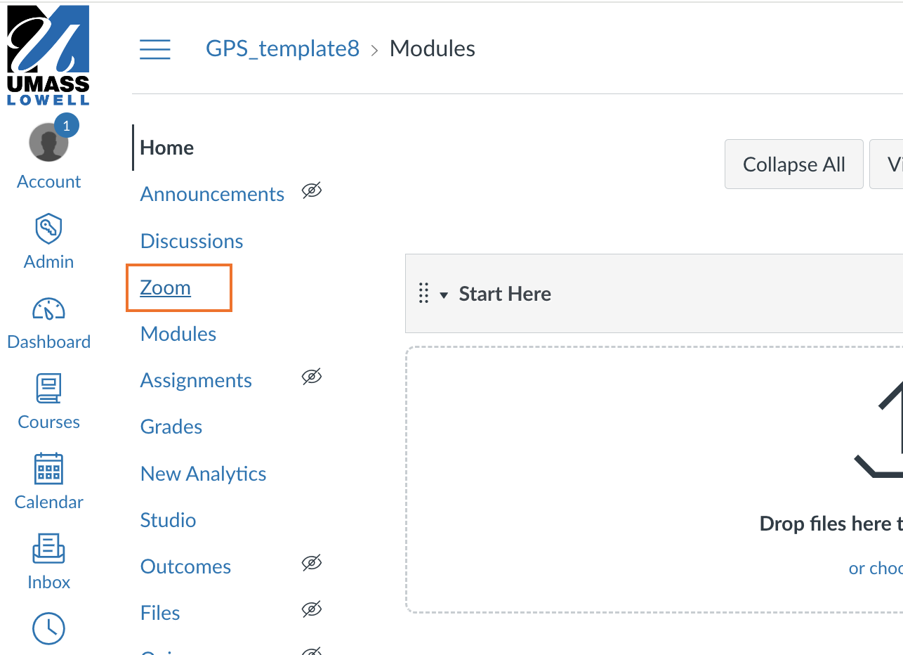 screenshot of Canvas course with the Zoom link highlighted