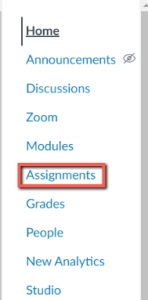 Course Navigation menu with Assignments highlighted